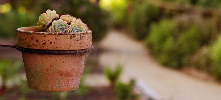 news-banner-2019-0108_03_2025