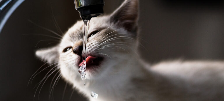 news-banner-2021-0106-31_2025