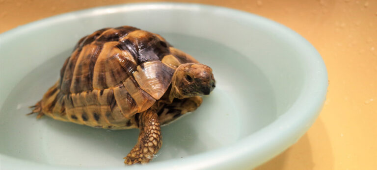 news-banner-2019-0108_10_2025