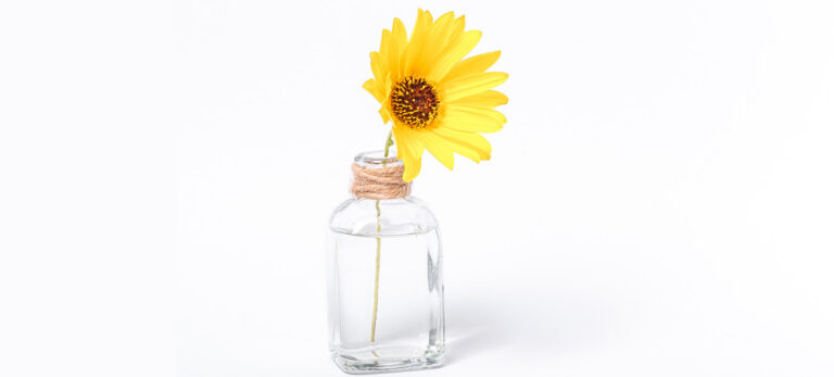 news-banner-2021-0106-32_2025